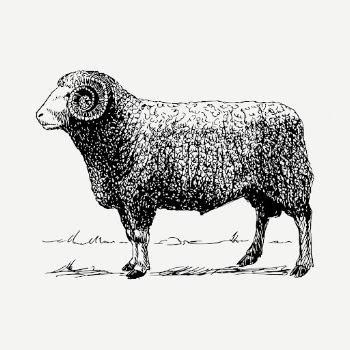 Vintage ram drawing, hand drawn | Free PSD - rawpixel