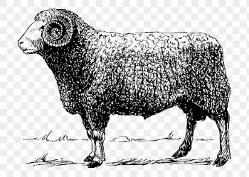 Vintage ram png clipart, hand | Free PNG - rawpixel