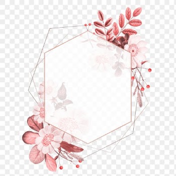 Vintage red flower frame png hand drawn illustration