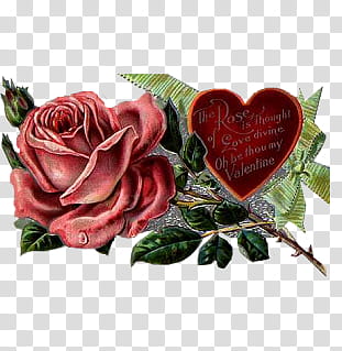 Vintage, red rose flower and heart box transparent background PNG clipart
