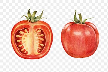 Vintage red tomato sticker png illustration