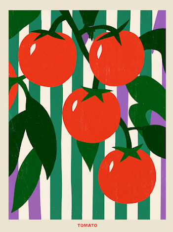 Vintage Red Tomatoes on Vine