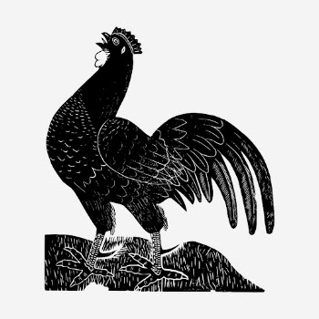 Vintage rooster, animal illustration. Free | Free Photo Illustration - rawpixel