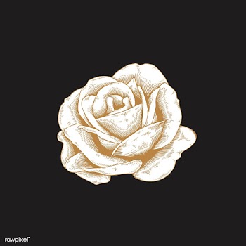 Vintage rose drawing | Free stock vector - 553250
