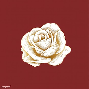 Vintage rose drawing | Free stock vector - 553251