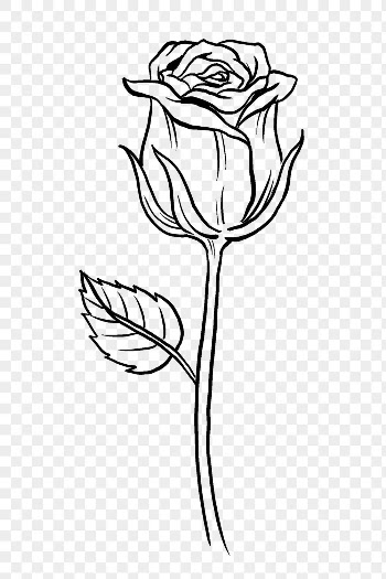Vintage rose flower png tattoo | Free PNG Sticker - rawpixel