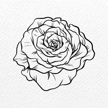 Vintage rose flower tattoo art, | Free PSD Illustration - rawpixel