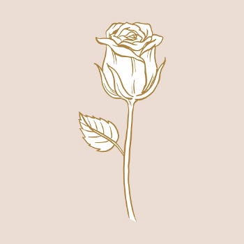Vintage rose flower tattoo art, | Free Vector Illustration - rawpixel
