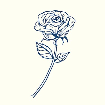 Vintage rose flower tattoo art, | Free Vector Illustration - rawpixel