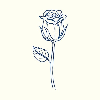 Vintage rose flower tattoo art, | Free Vector Illustration - rawpixel