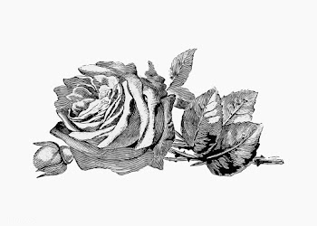 Vintage rose illustration | Free stock vector - 556617