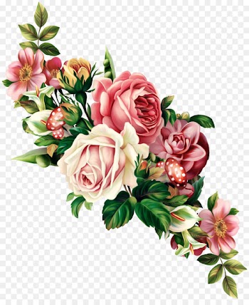 Vintage Roses: Beautiful Varieties for Home and Garden Flower Clip art - Rose 