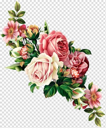 Vintage Roses: Beautiful Varieties for Home and Garden Flower , Rose, red and white rose flower transparent background PNG clipart
