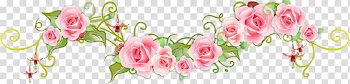 Vintage Roses: Beautiful Varieties for Home and Garden Flower , rose transparent background PNG clipart