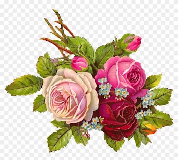 Vintage Roses - Rose