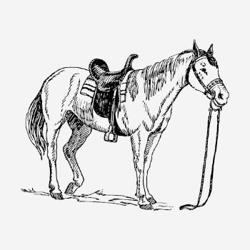 Vintage saddled horse, animal illustration. | Free Photo Illustration - rawpixel