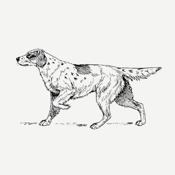 Vintage setter dog, animal illustration | Free PSD Illustration - rawpixel