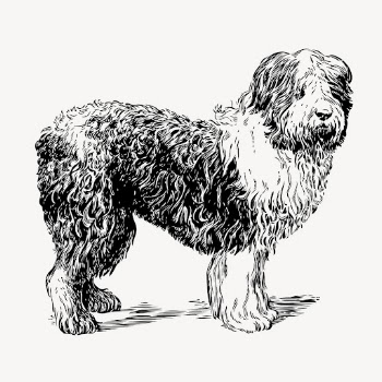 Vintage sheepdog, animal illustration vector. | Free Vector Illustration - rawpixel