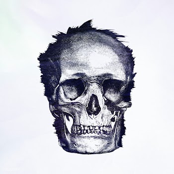 Vintage skull engraving style illustration | Free  illustration - 2341538