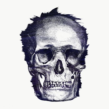 Vintage skull engraving style overlay | Free  transparent png - 2341530