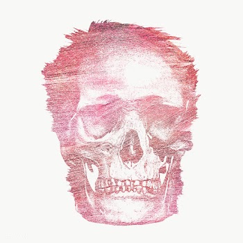 Vintage skull engraving style overlay | Free  transparent png - 2341555