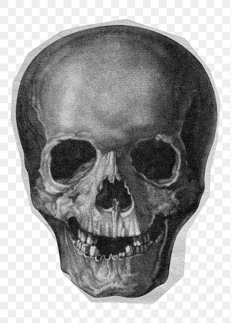 Vintage skull png sticker, transparent | Free PNG - rawpixel