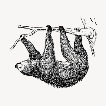 Vintage sloth, animal illustration vector. | Free Vector Illustration - rawpixel