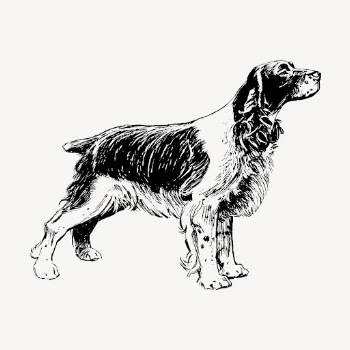 Vintage spaniel dog, animal clipart | Free Vector Illustration - rawpixel