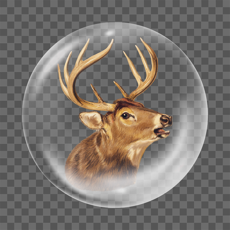 Vintage stag png head sticker, | Free PNG - rawpixel