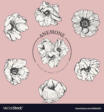 vintage styled anemone flowers logo and leaves