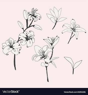 vintage styled lily flowers