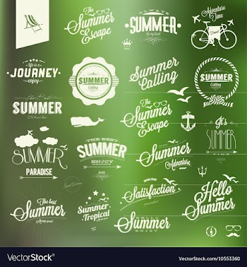 Vintage summer design elements collection vector image
