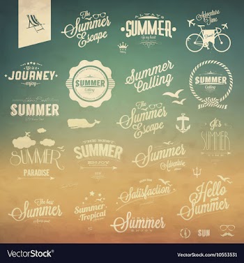 Vintage summer elements vector image