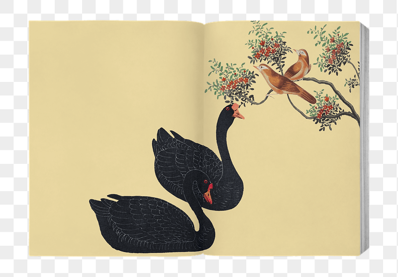 Vintage swan book png sticker, | Free PNG - rawpixel