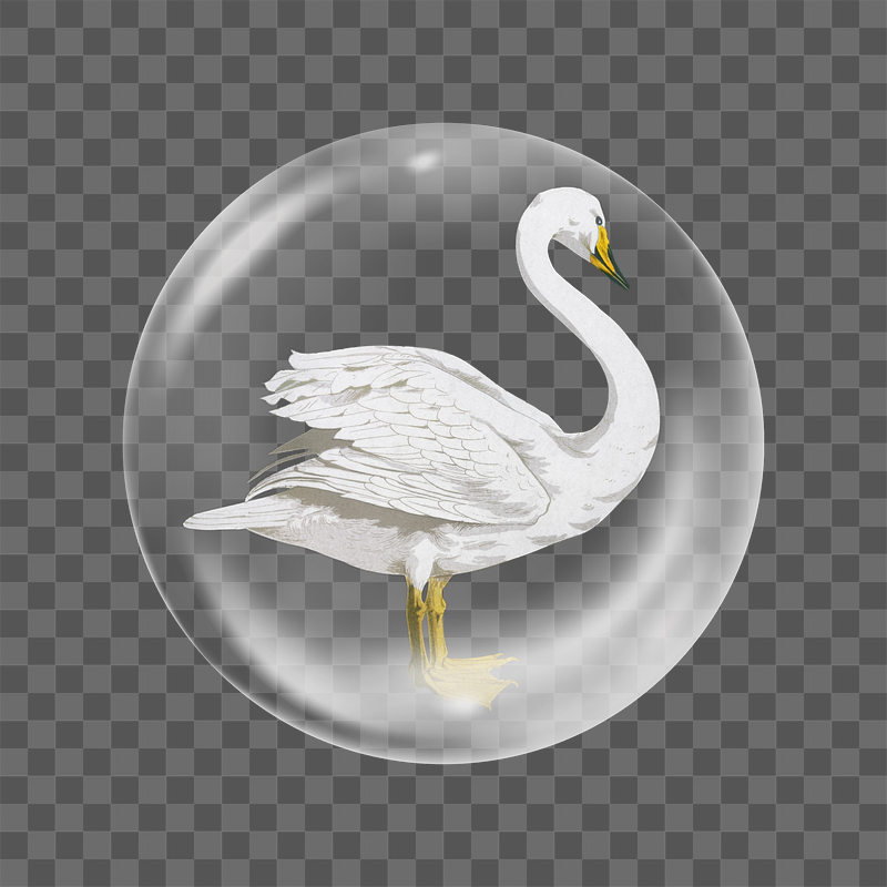Vintage swan png sticker, bubble | Free PNG - rawpixel