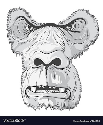 Vintage t-shirt design with gorilla face vector image