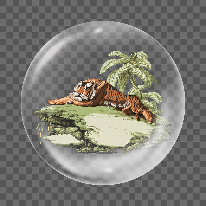 Vintage tiger png sticker, bubble | Free PNG - rawpixel