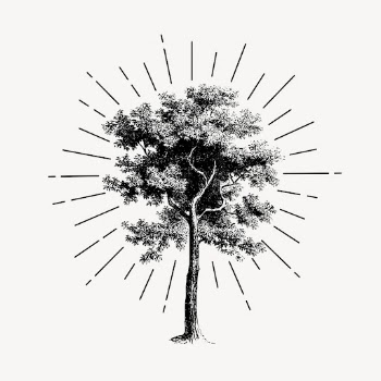 Vintage tree drawing, botanical illustration | Free PSD Illustration - rawpixel