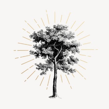 Vintage tree drawing, botanical illustration | Free PSD Illustration - rawpixel