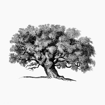Vintage tree illustration | Free stock vector - 556588
