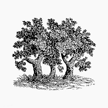 Vintage tree illustration | Free stock vector - 556695
