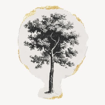 Vintage tree ripped paper clipart, | Free Vector Illustration - rawpixel