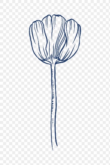 Vintage tulip flower png tattoo | Free PNG Sticker - rawpixel