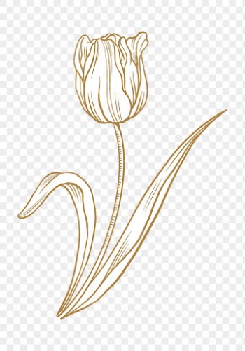 Vintage tulip flower png tattoo | Free PNG Sticker - rawpixel