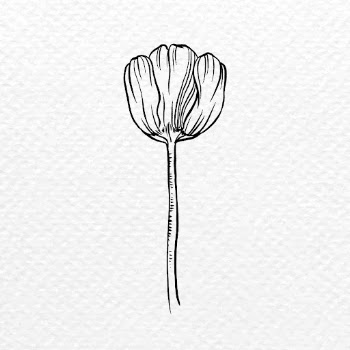 Vintage tulip flower tattoo art, | Free PSD Illustration - rawpixel