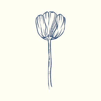 Vintage tulip flower tattoo art, | Free PSD Illustration - rawpixel