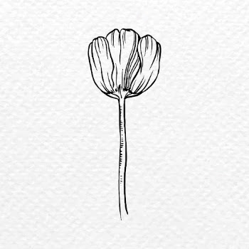 Vintage tulip flower tattoo art, | Free Vector Illustration - rawpixel