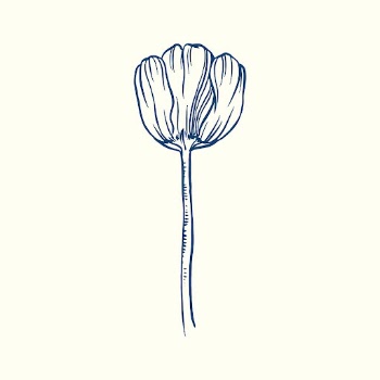 Vintage tulip flower tattoo art, | Free Vector Illustration - rawpixel