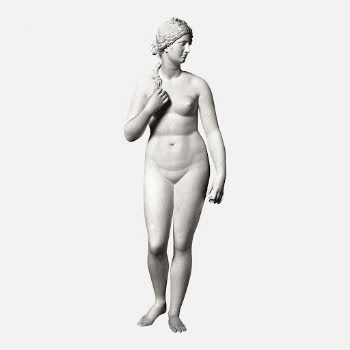 Vintage Venus sculpture design element, | Free Vector - rawpixel