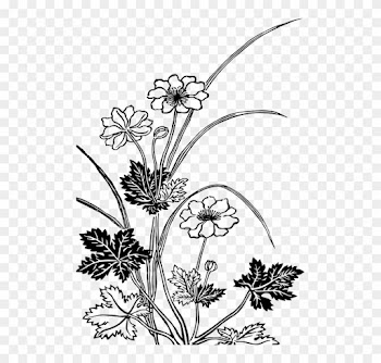 Vintage Wedding Graphics 24, Buy Clip Art - Flowering Plant Black And White